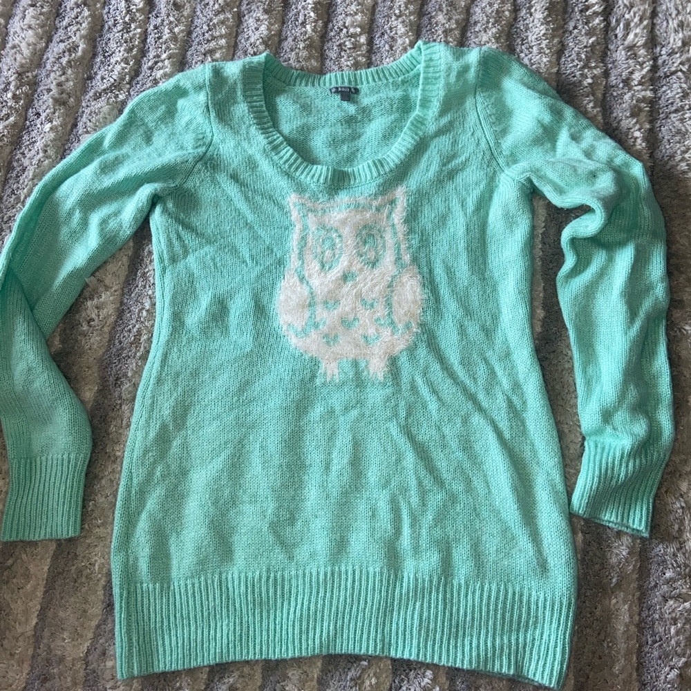 Furry owl sweater